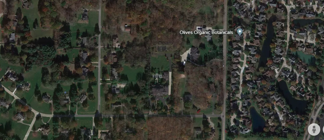 A farther shot of the house (image Credit: Google Earth)