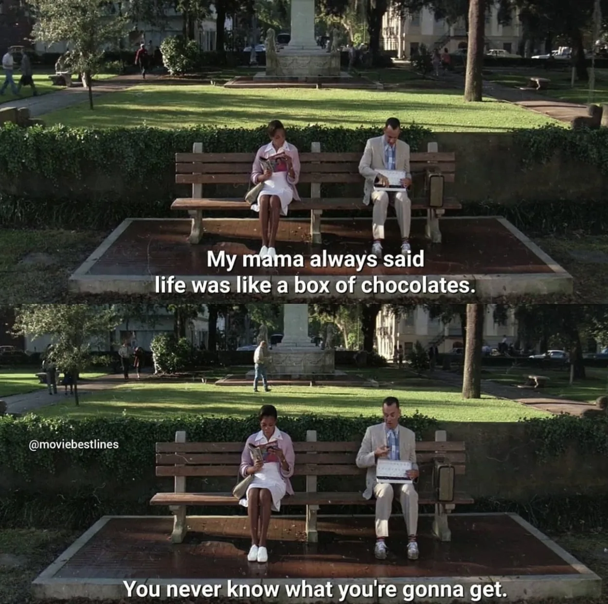 The scene from Forrest Gump movie where he is sitting on the bench