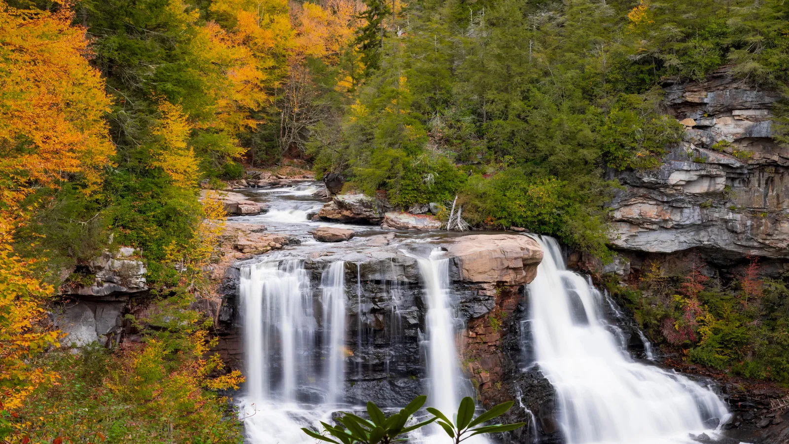 blackwater falls adorned in natures finest autumn attire